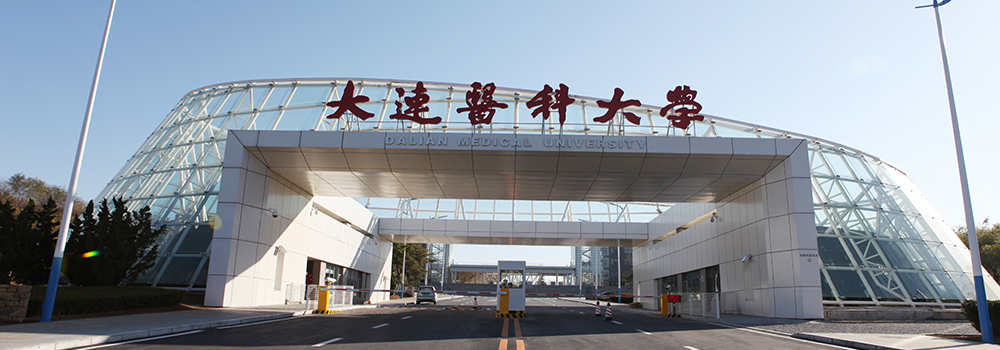 1-15051G554250-L - Unigo World