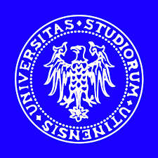 Università degli Studi di Udine Facoltà di Medicina e Chirurgia