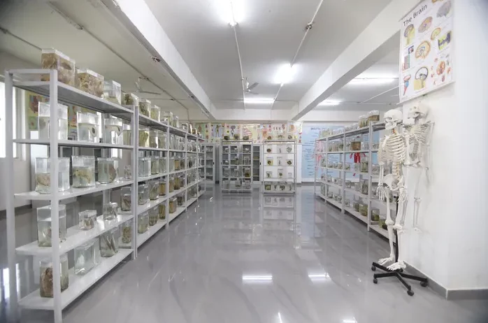 Museum4