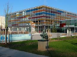 Medical-Faculty-Mannheim-Ruprecht-Karls-University-Heidelberg-2
