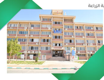 #image_title New-Valley-University-Faculty-of-Medicine-Kharga-2